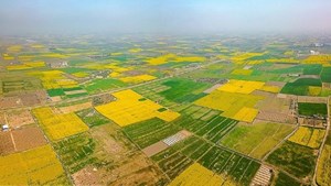 آخرین وضعیت حدنگاری اراضی کشور/ ۶۵ درصد اسناد دفترچهای هنوز تکبرگ نشدند!