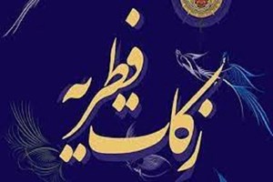 رئیس دبیرخانه شورای مشارکتهای مردمی سازمان بهزیستی کشور: مردم فطریه خود را به پایگاههای جمعآوری فطریه بهزیستی تحویل دهند/ راههای جذب فطریه