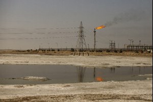 معاون محیط طبیعی اداره‌کل محیط زیست خوزستان: مجوز ساخت پتروپالایش ملل در تالاب شادگان صادر نشده است