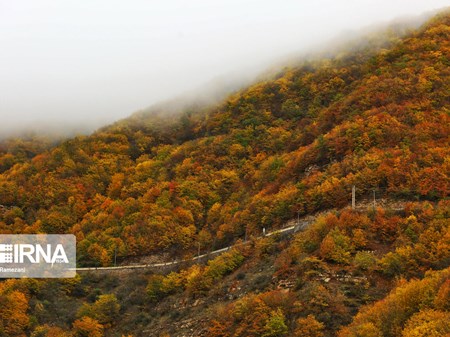 سفر رنگارنگ پاییزی؛ جاده چالوس، بهشتی در دل طبیعت