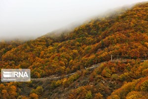 سفر رنگارنگ پاییزی؛ جاده چالوس، بهشتی در دل طبیعت