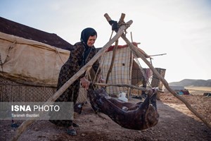 جزئیات «بیمه رایگان» مادران خانهدار روستایی دارای۳ فرزند و بیشتر
