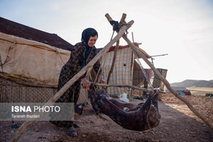 جزئیات «بیمه رایگان» مادران خانه‌دار روستایی دارای۳ فرزند و بیشتر