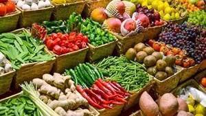 صادرات محصولات کشاورزی رونق می یابد