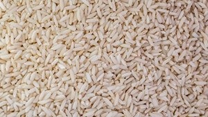 کاهش قیمت جهانی برنج؛ دانه‌های روغنی و کنجاله گران شد