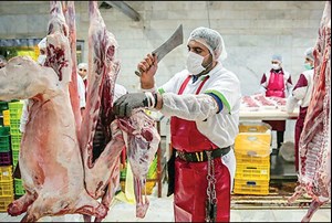 قیمت گوشت قرمز با ایجاد زنجیره تولید ۳۰ درصد کاهش می‌یابد