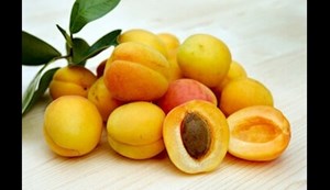 مسمومیت شدید با خوردن هسته بعضی میوهها