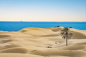 سواحل مَکُران؛ گنج پنهان گردشگری و توسعه پایدار در جنوب شرق ایران