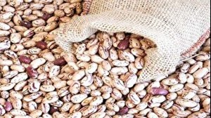 قیمت لوبیا چیتی به ۳۲۰ هزارتومان رسید