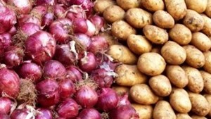 تولید مازاد پیاز و سیبزمینی در کشور