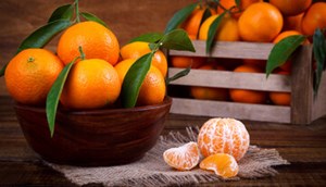 میوهای کوچکی که علاج چند بیماری است