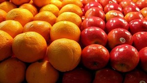 توزیع روزانه ۱۶ هزارتن میوه و صیفی در بازار