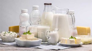 اثر افزایش قیمت لبنیات بر سرانه مصرف چقدر است؟
