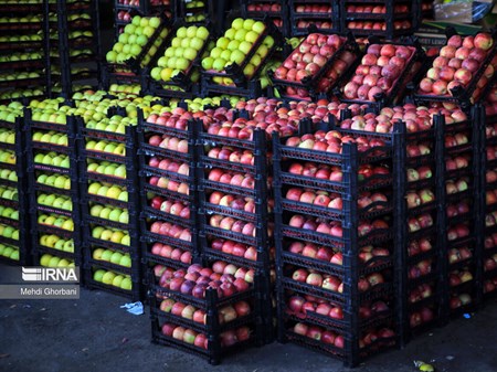 در راستای کنترل قیمت؛ میادین جدید عرضه کالای اساسی و میوه و تره‌بار در اهواز راه اندازی می‌شود