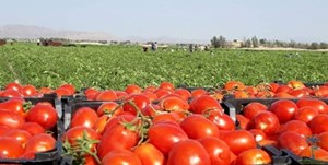 عوارض از صادرات محصولات آب بر گرفته میشود