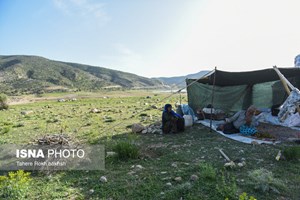 سرپرست اداره کل امور عشایر استان: آغاز کوچ بهاره عشایر خوزستان/ عشایر در تولید و امنیت غذایی و مرزداری نقش بسزایی دارند