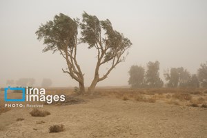 دبیر ستاد ملی گردوغبار سازمان حفاظت محیط زیست؛ میزان اعتبارات تخصیص یافته از سوی سازمان برنامه بودجه، برای کانون‌های گرد و غبار اصلاح شد