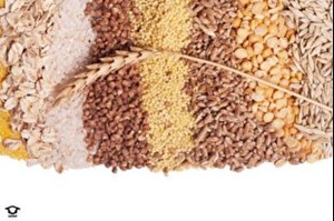 ذخایر غلات ایران بیشتر از همه کشورها بجز ۷ کشور