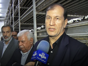 دزفول، میزبان جشنواره تولید مرکبات سالم