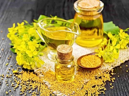 چرا امسال کلزا کمتر کشت شد؟
