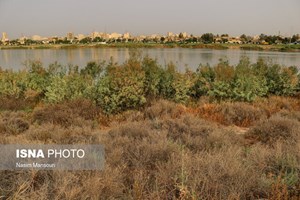 رئیس کمیسیون محیط زیست شورای شهر: در اهواز فضای "زرد" هم "فضای سبز" محاسبه می‌شود