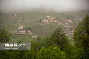 وزیر ارتباطات خبر داد: اتصال ۳۰۰۰ روستای باقیمانده به شبکه ملی اطلاعات تا پایان سال