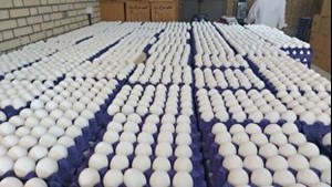 قیمت هر شانه تخم مرغ برای مصرف کننده ۵۰۰ هزار تومان