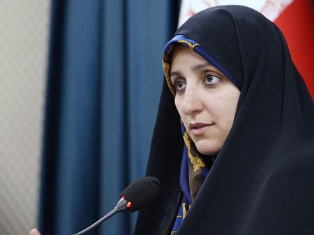 دستگاه‌ها مکلفند با شناورسازی آغاز به کار یکی از والدین دارای کودک موافقت کنند
