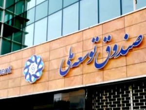 یک اتفاق مهم در توسعه حملونقل دریایی/ پای صندوق توسعه ملی به خرید کشتی و نفتکش باز شد