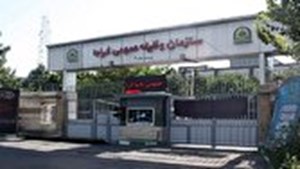 آخرین فرصت بهره مندی از معافیت سه فرزندی و بیشتر تا پایان شهریور