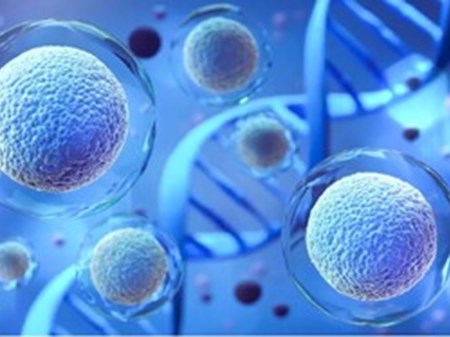 اولین محصول سلول‌درمانی ایرانی وارد فهرست دارویی کشور شد/صرفه‌جویی ۵۲ میلیونی ارزی