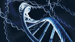 اهواز میزبان نخستین سمپوزیوم DNA کشور