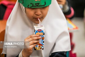«شیر» تنها در مدارس ۴ استان توزیع شد/ توزیع در سراسر کشور منوط به پای کار آمدن شرکتهای لبنی