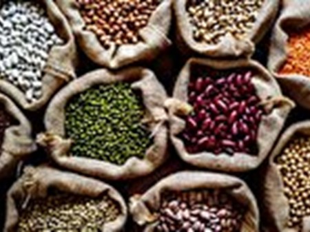 افزایش ۳۰تا ۳۵ درصدی قیمت حبوبات در بازار/ لوبیا چیتی به ۴۲۰ هزار تومان رسید