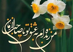 چرا گل نرگس برای ایرانیها اینقدر محبوب است؟