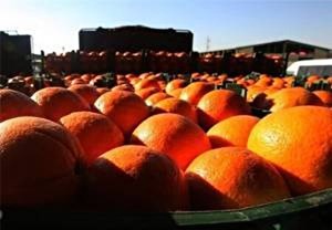 ثبات نسبی بازار میوه شب عید با وجودشرایط جنگی