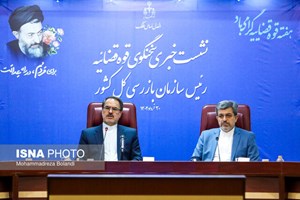 ستایشی در نشست خبری مطرح کرد: اعلام ۲۱۰ گلوگاه فساد خیز به دولت/احتمال بازگشت حمیدنوری