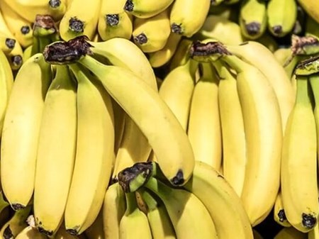 رئیس اتحادیه صادرات محصولات کشاورزی عنوان کرد: قیمت موز باید بسیار پایین تر باشد/ رانت واردات موز در قبال صادرات سیب!