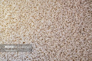 دلالی در بازار برنج پایان ندارد
