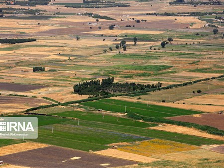 هشدار جهاد کشاورزی خوزستان نسبت به تغییرکاربری غیرمجاز زمین‌ها