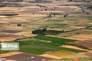 هشدار جهاد کشاورزی خوزستان نسبت به تغییرکاربری غیرمجاز زمین‌ها