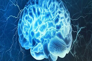 گفتاردرمانی ساختار مغز را تغییر می‌دهد