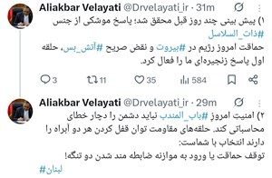 ولایتی: توقف حماقت یا ورود به موازنه ضابطه‌مندشدن دو تنگه!