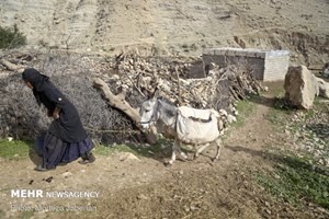 رئیس کمیته امداد: مددجویان روستایی بدون مسکن صاحب خانه میشوند