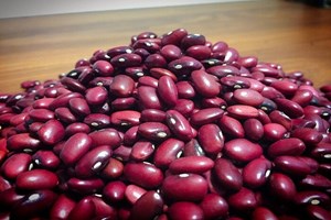 پیش‌بینی تولید ۳۵ هزار تن لوبیا و ماش در خوزستان