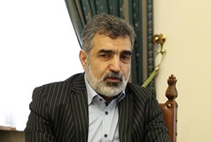 کمالوندی : تاکنون اقدام به غنیسازی بالای ۶۰ درصد نکردهایم