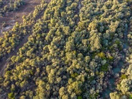 اراضی تصرف‌شده منطقه «دز» به طبیعت بازمی‌گردد