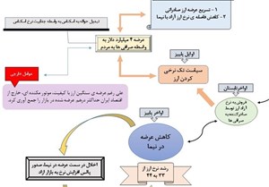 چرا دلار گران شد؟