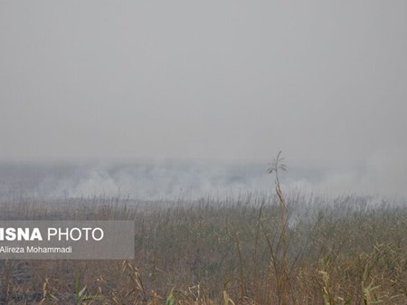 نماینده اهواز در مجلس تاکید کرد: لزوم در اولویت قرار گرفتن وضعیت آتش‌سوزی تالاب هورالعظیم در دولت