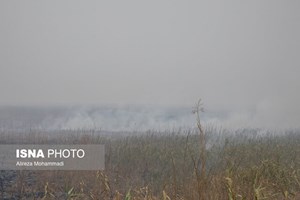 نماینده اهواز در مجلس تاکید کرد: لزوم در اولویت قرار گرفتن وضعیت آتش‌سوزی تالاب هورالعظیم در دولت